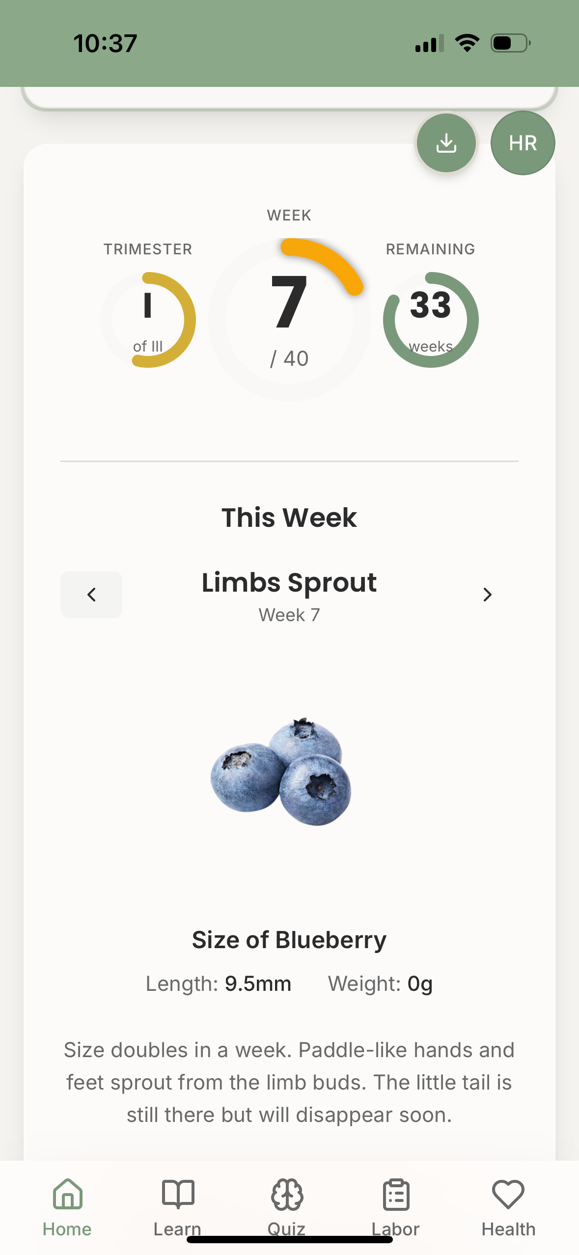 Weekly pregnancy content showing fetal development and dad tips